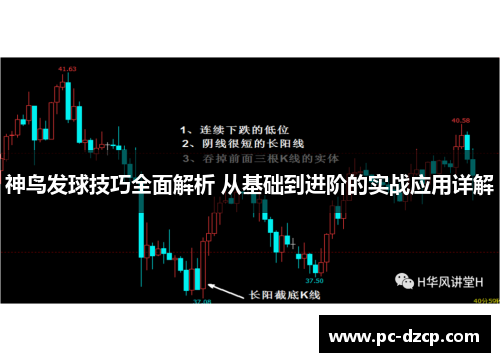 神鸟发球技巧全面解析 从基础到进阶的实战应用详解